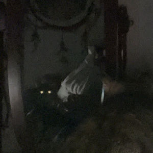 Meet your Posher, Makaylynn